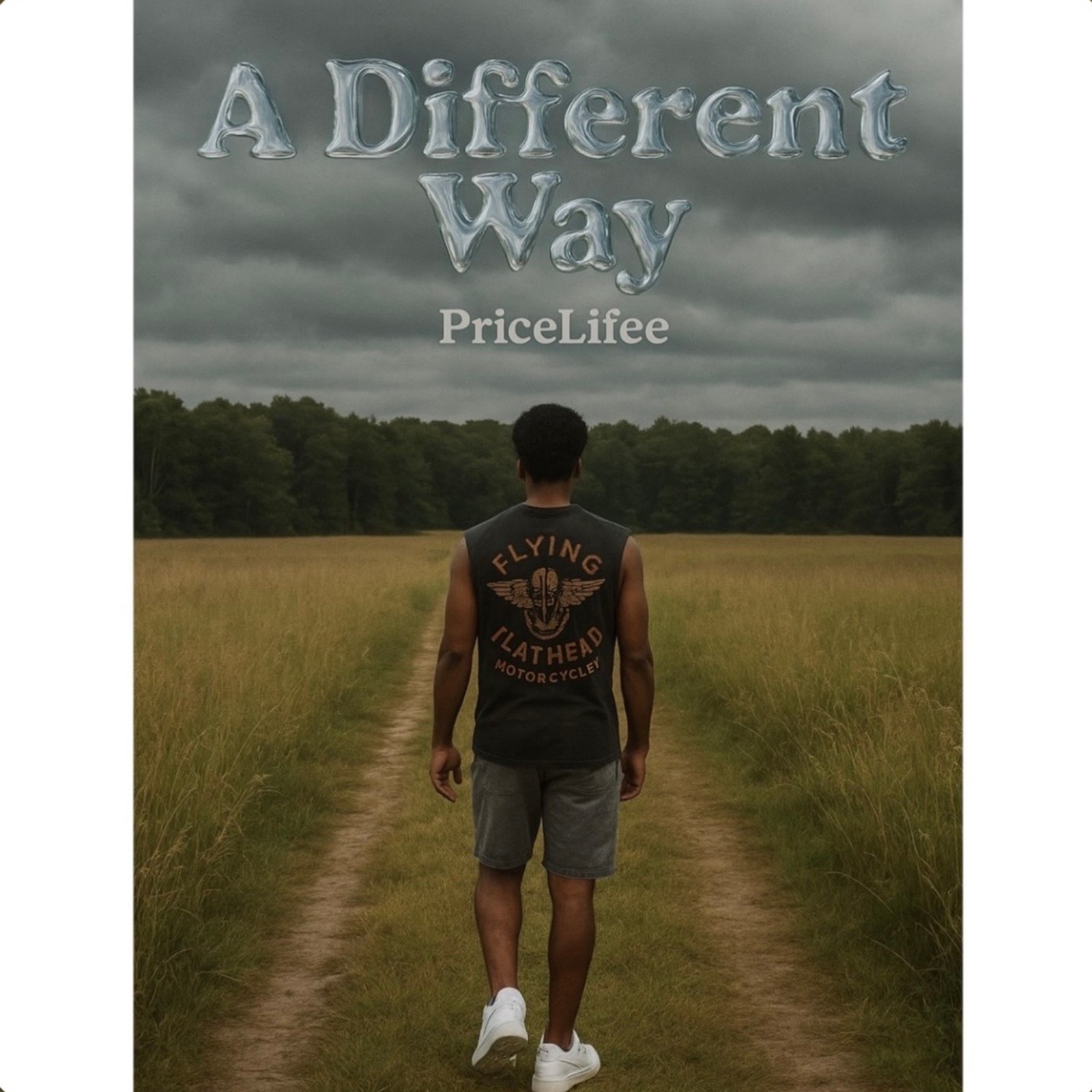 Cover art 08